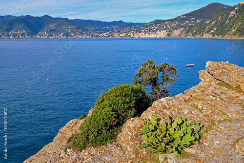 Panoramic view of Camogli and Punta Chiappa, in Liguria, Italy
