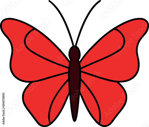 Red Admiral Butterfly with Large Symmetrical Wings and Bold Black Outline