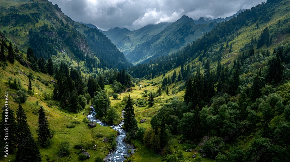Fototapeta premium Aerial drone shot of lush green mountain valley with winding hiking trail and stream surrounded by pine forest slopes in summer day.