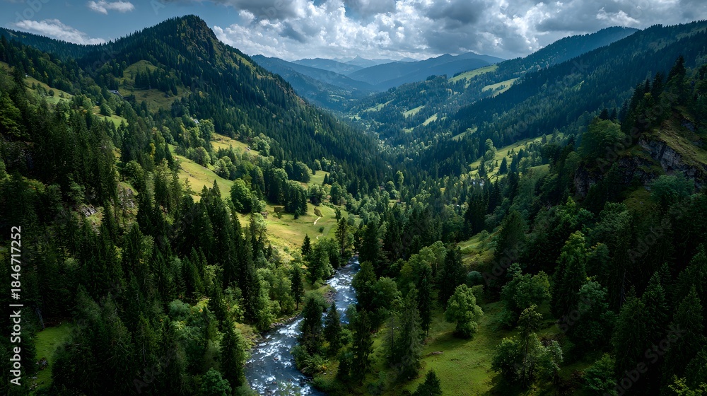 Obraz premium Aerial drone shot of lush green mountain valley with winding hiking trail and stream surrounded by pine forest slopes in summer day.