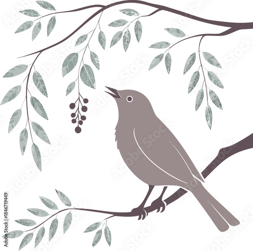 vector illustration of a bird
