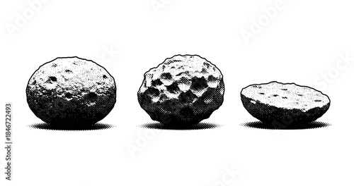 Cross-section view of textured spherical objects in black and white
