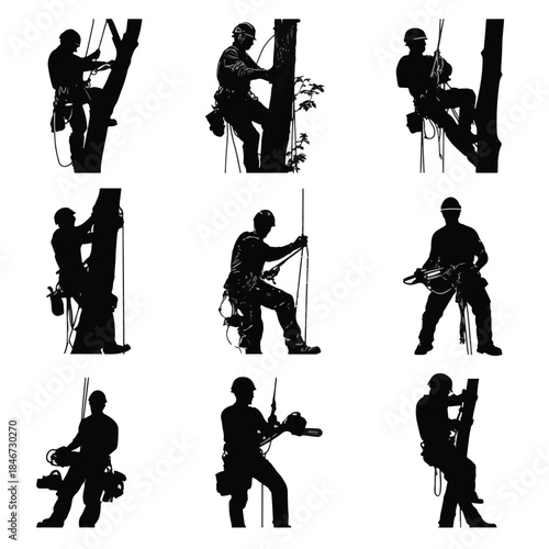 silhouette of people are cutting tree