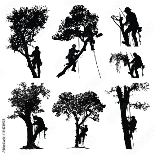 silhouette of people are cutting tree