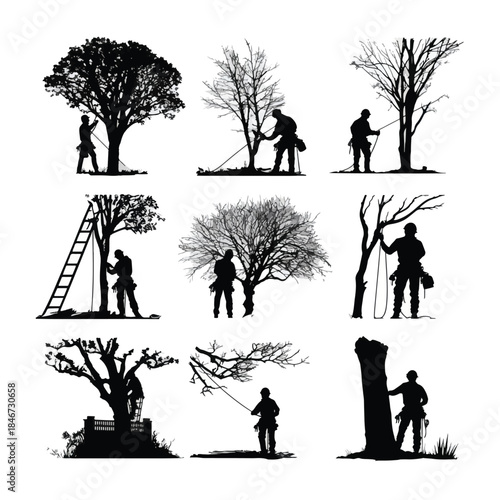 silhouette of people are cutting tree