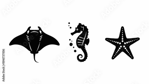 Oceanic animal silhouettes a majestic manta ray, an intricate seahorse, and a classic starfish. Perfect for aquatic-themed designs, educational materials, and decorative graphic elements