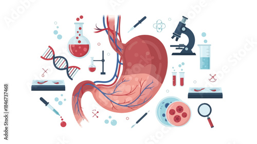 Illustration of human stomach with laboratory scientific equipment and DNA strands depiction