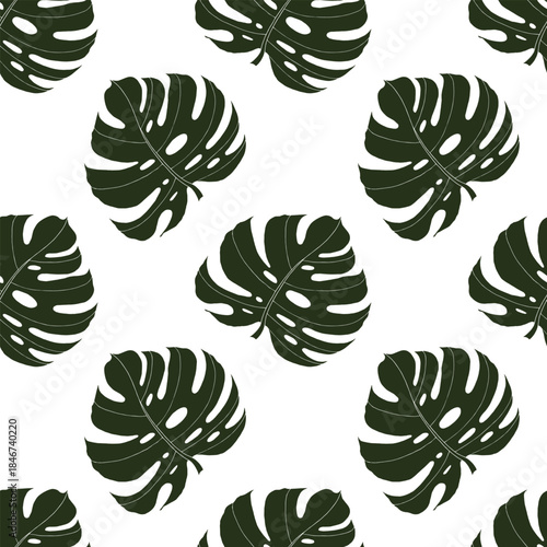 Tropical leaves seamless pattern with monstera leaf. Vector hand drawn print for fabric, textile, wallpapers in dark green color on transparent background.