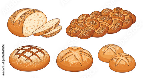 Colorful vector collection of various bakery bread types, including a sliced loaf, challah, and assorted fresh bread rolls.