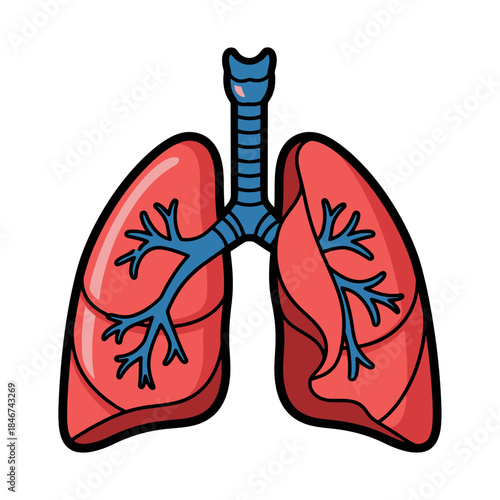 Illustration of human lungs showcasing respiratory health and pulmonary function diagram