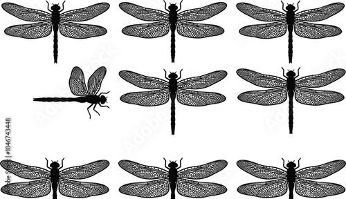 Dragonfly silhouette collection, black insect icons, vector bugs, flying dragonflies, nature symbols, wildlife clipart, decorative winged creatures