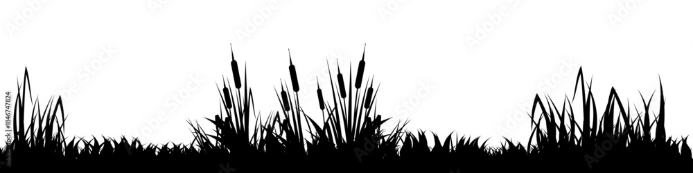 Fototapeta premium Meadow silhouette with grass, plants on plain. Panoramic summer lawn landscape with herbs, various weeds. Herbal border, frame element. Black horizontal banners. Vector illustration
