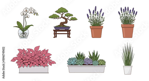 A whimsical collection of diverse potted plants adding a touch of green serenity to indoor spaces