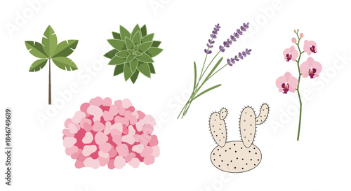 Botanical illustration featuring a variety of plants and flowers in a minimalistic style