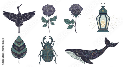 Celestial animal and botanical illustrations set against a clean white backdrop artful design