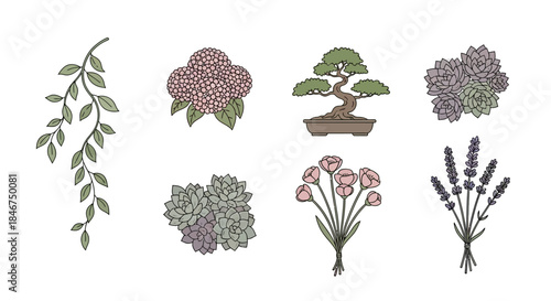 Botanical illustrations featuring diverse plant species like a cascade vine, a hydrangea and bonsai