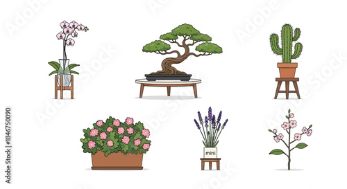Collection of various houseplants in pots and vases isolated on a clean white background  perfect