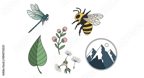 Illustrated nature elements with dragonfly, bee, plant and mountain range in circle shape