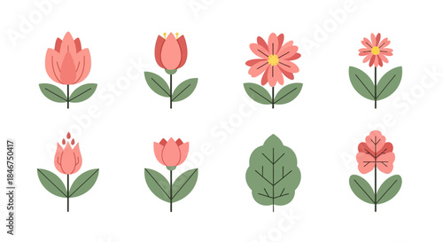 Minimalist flower collection with tulip and daisy design elements for spring season decor