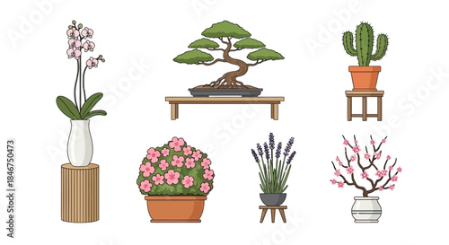 Diverse potted plants arrangement featuring orchid, bonsai, cactus, and flowering varieties