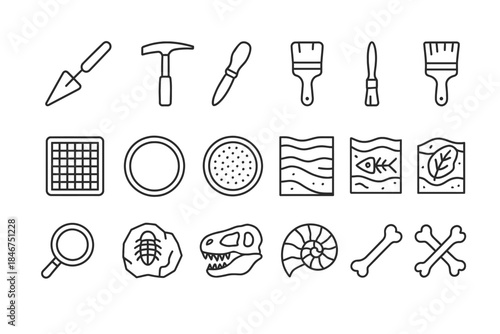 Archaeological tools and fossils collection: trowel, hammer, brushes, fossils, dinosaur skull