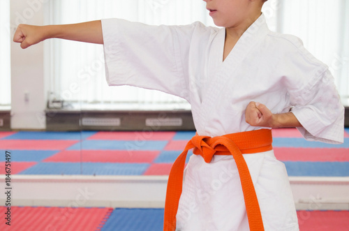Obraz na plátně Close-up view of a child wearing a traditional karate uniform with an orange belt, performing a basic punch technique during martial arts training