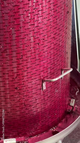 Red grapes being pressed as vibrant red juice flows through the wine press.