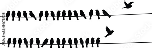 PrintBird silhouette illustration, perched flock vector, wire sitting design sketch, flying animal outline icon, nature wildlife graphic drawing, migration symbol art