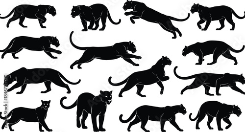 Black panther and jaguar running, jumping, and walking silhouette set, wild feline predatory animal vector collection, nature, wildlife, power, and danger graphic assets, jungle cat.