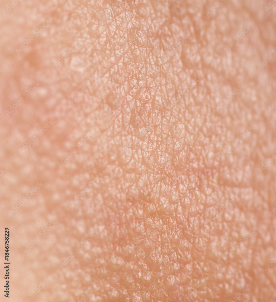 Fototapeta premium A close up of a person's arm with a tan skin tone