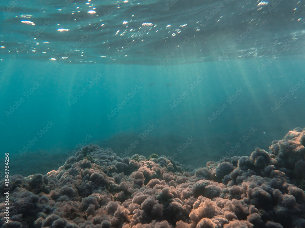 Fototapeta premium Dark blue ocean surface seen from underwater. Abstract waves underwater and rays of sunlight shining through, Sun light rays undersea deep, Underwater background with sea bottom, Mediterranean sea.