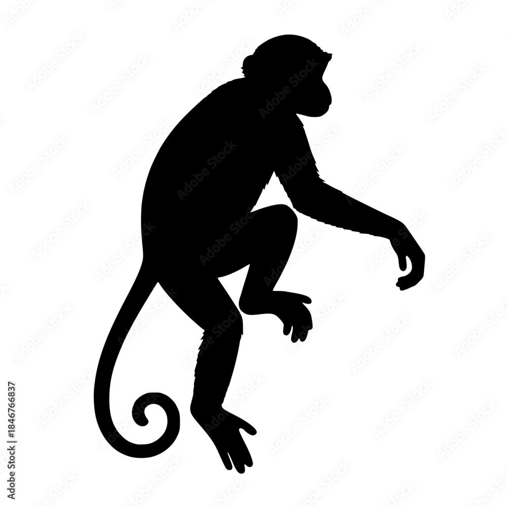 Naklejka premium vector silhouette of a monkey 