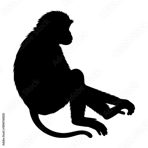 silhoutte of a monkey 