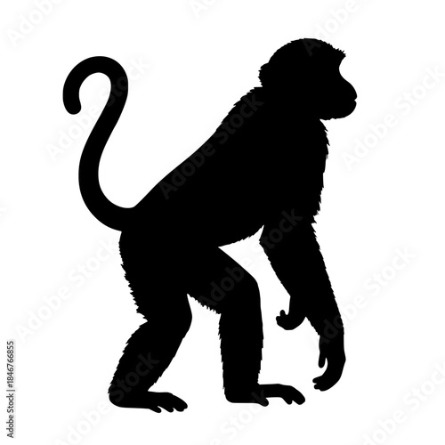 silhoutte of a monkey 