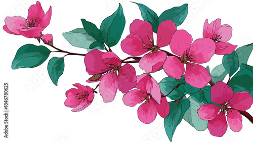 Vibrant Plant with Pink Flowers and Green Leaves Vector Illustration