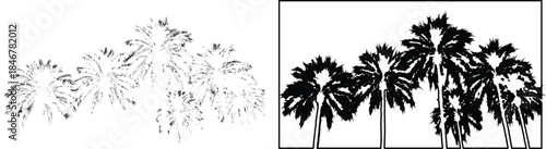 Palm Tree Silhouettes and Outline Sketches Vector Illustration Set