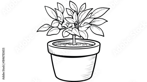 Decorative Ceramic Pot with Plant Featuring Word 'Vegeta' | Botanical Home Decor