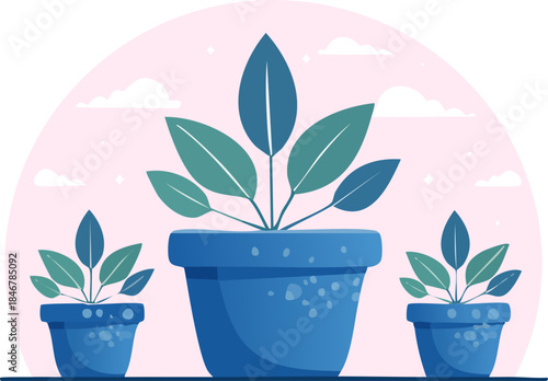 Three potted plants of varying sizes with green and blue leaves in blue pots against a soft pink background with subtle clouds.