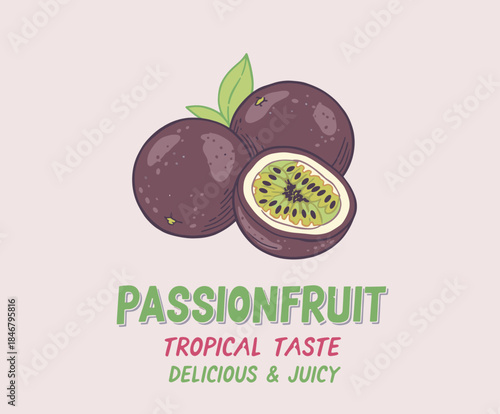Summer fruits vector print designs. Organic food artwork for for t-shirt. Nature fruit print design. Fruit vintage t-shirt design. Retro fruit tropics. Local farmer markets.