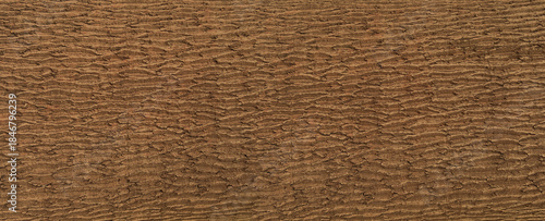 Obraz na płótnie Tree bark surface showing natural rough wood texture
