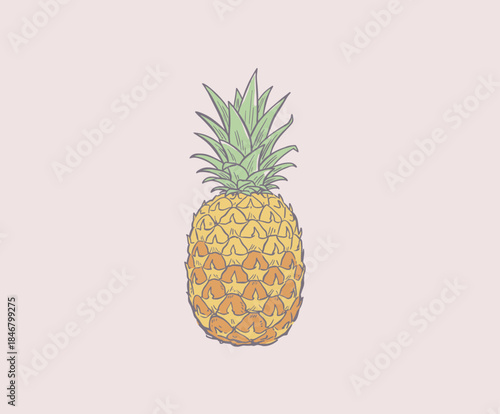 Summer fruits vector print designs. Organic food artwork for for t-shirt. Nature fruit print design. Fruit vintage t-shirt design. Retro fruit tropics. Local farmer markets.