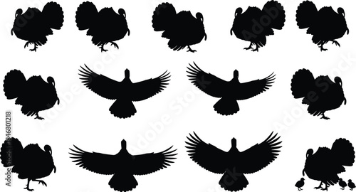 PrintTurkey silhouette illustration, bird wildlife vector, farm animal design sketch, flying walking standing poses outline, poultry graphic drawing, nature symbol art