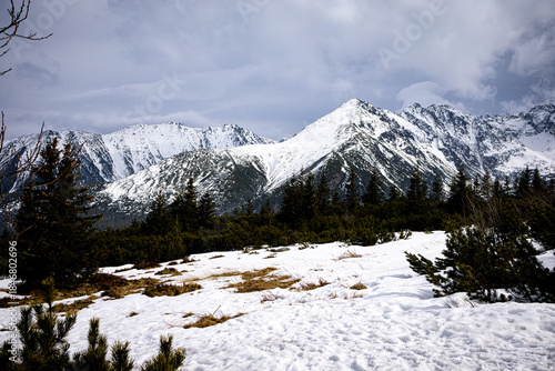 Fototapeta Naklejka Na Ścianę i Meble -  Snow covered mountain range with evergreen forest and alpine meadow in winter