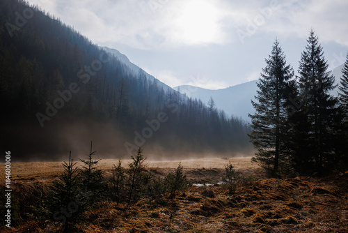 Fototapeta Naklejka Na Ścianę i Meble -  Wide mountain valley meadow surrounded by forested slopes and distant peaks