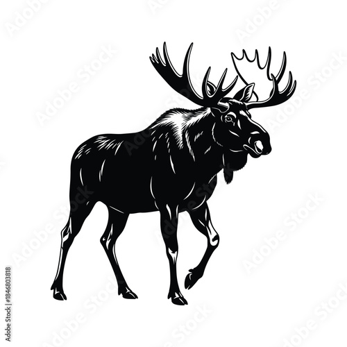 Black silhouette of a walking moose with large antlers on white background animal