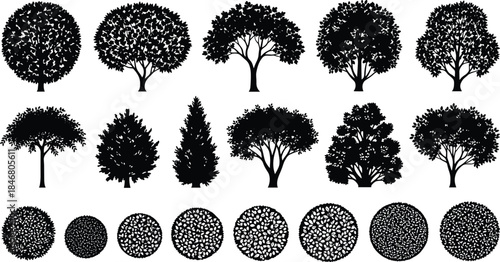 Black silhouette vector set of various deciduous and evergreen trees, including pines and rounded bushes, perfect for park, forest, and landscape design elements.