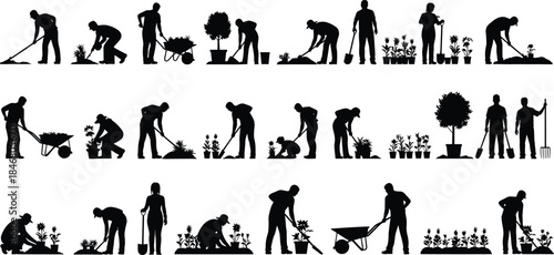 Black Silhouette Vector Set: People Gardening, Planting Flowers, Digging Soil, and Working with Tools and Wheelbarrows in Home and Commercial Horticulture.