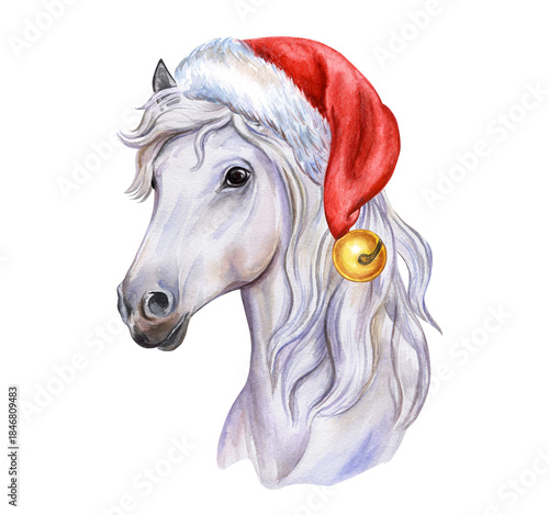 Watercolor white horse portrait wearing Santa hat with bell. Festive Christmas animal illustration isolated on transparent background for holiday cards and winter designs.