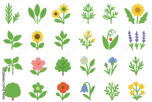 Colorful collection of various flower and plant illustrations in a simple design showing different types arranged in rows