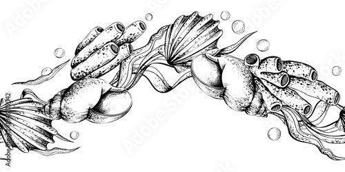 Hand drawn ocean creature board. Underwater shells sea plant and animal illustration for marine life nature concept. Seamless border pattern outline graphic illustration
